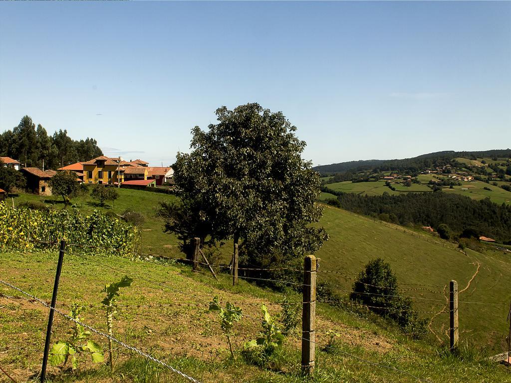 La Casona De Faedo Pension Hotel Luaran gambar